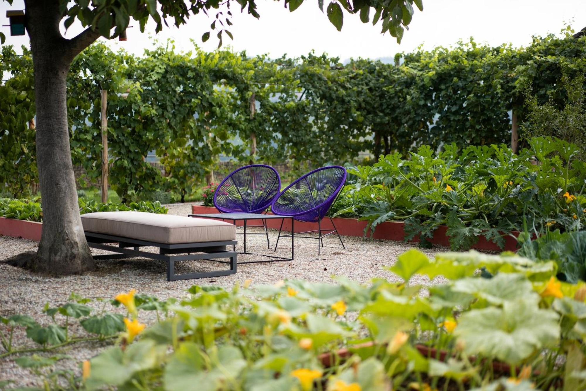 Vigne Di Fagnano 1709 Eco Relais Guest House Santo Stefano Belbo Exterior photo